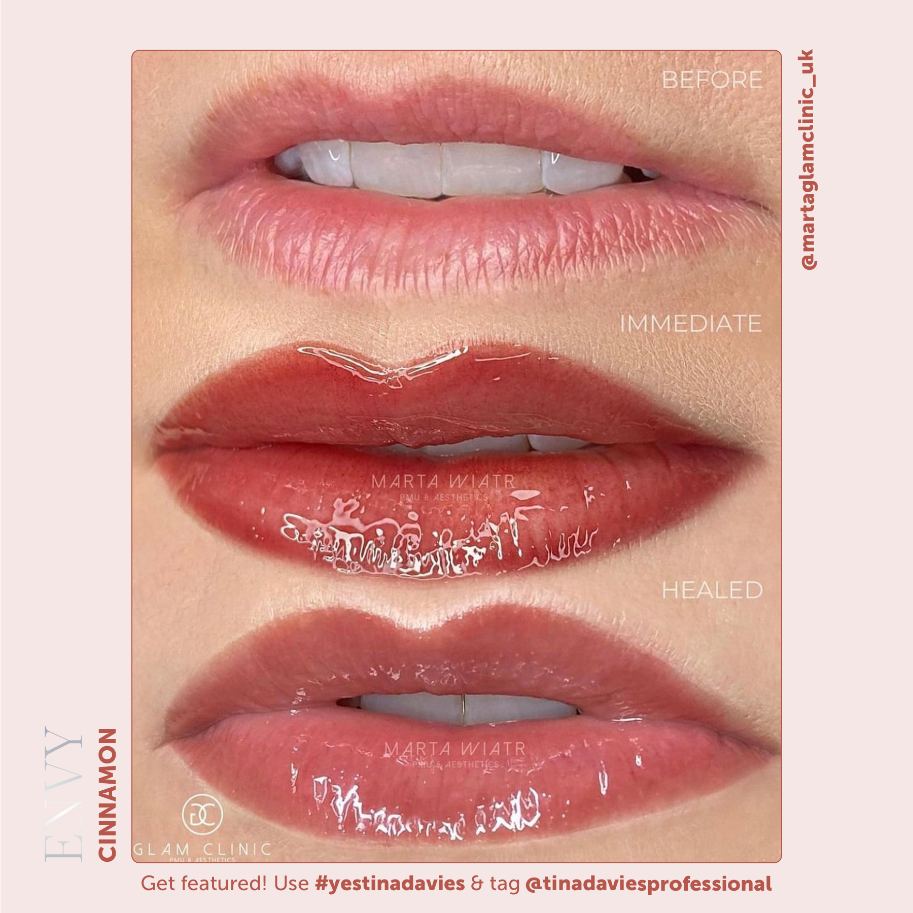 Envy Lip Pigment Collection