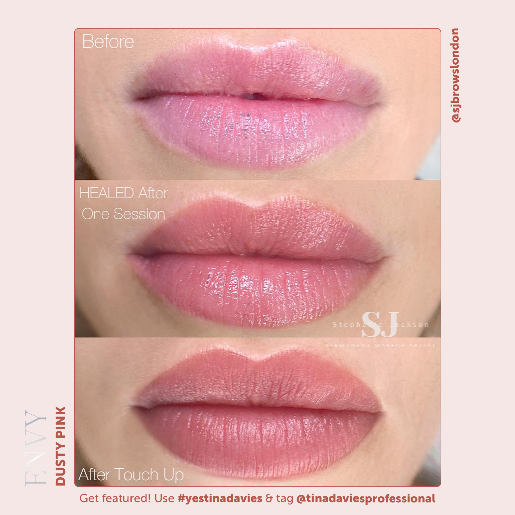 Envy Lip Pigment Collection