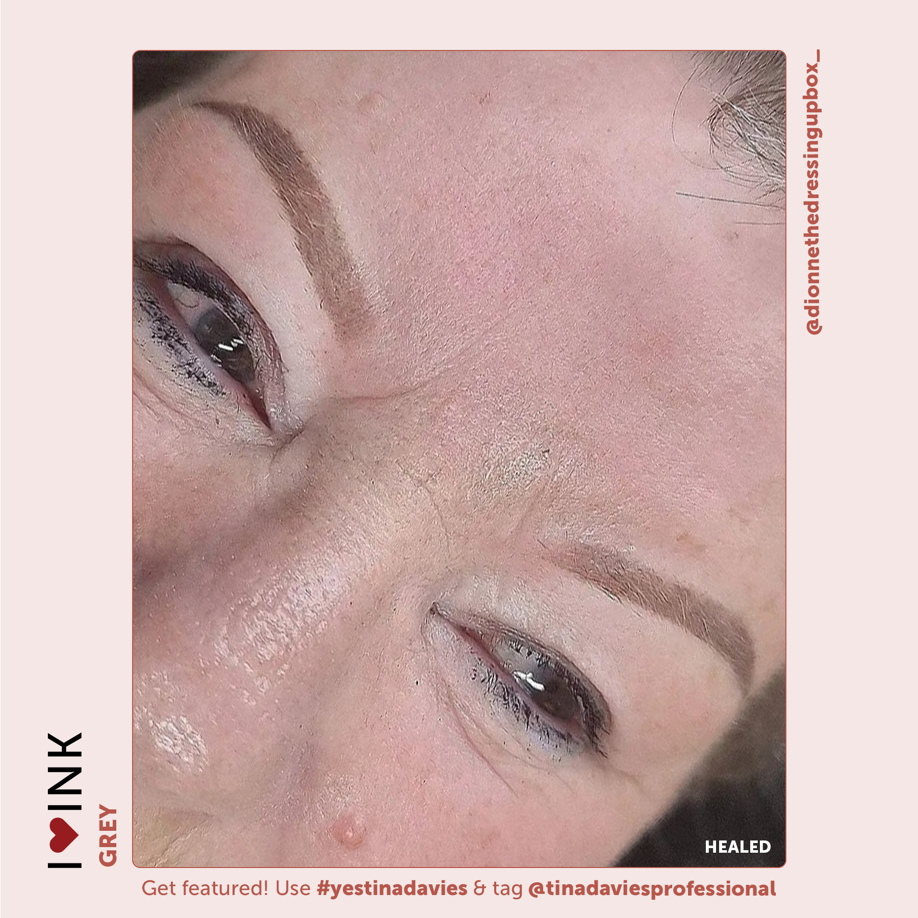 I ❤️ INK Eyebrow Pigment Collection