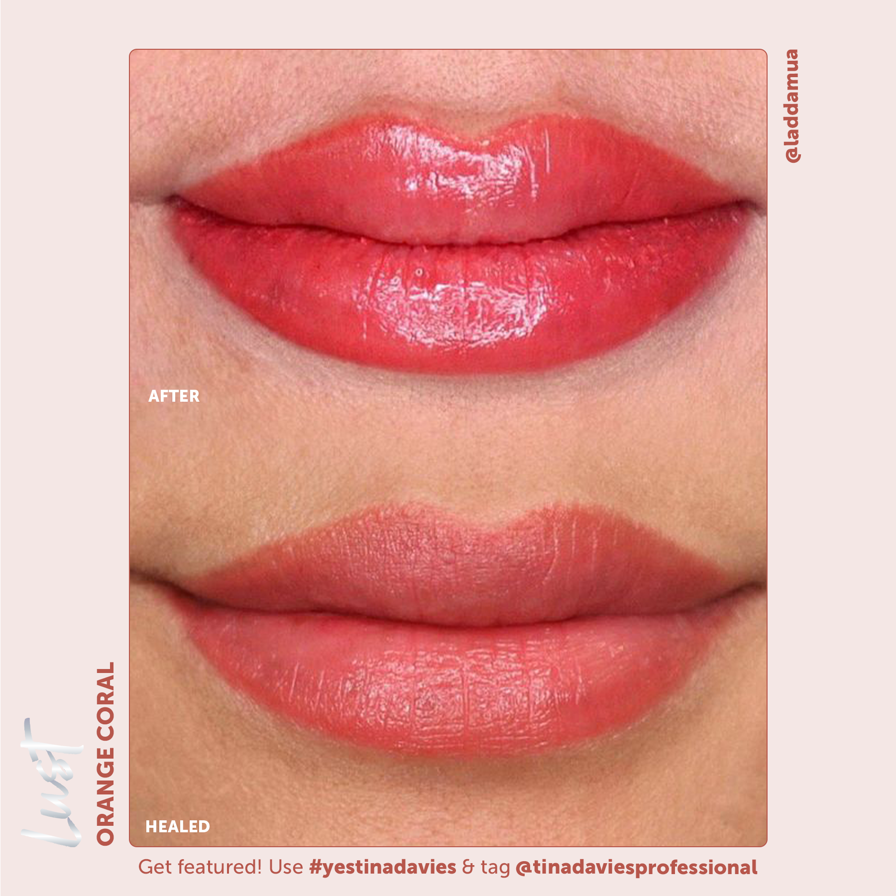 Lust Lip Pigment Collection