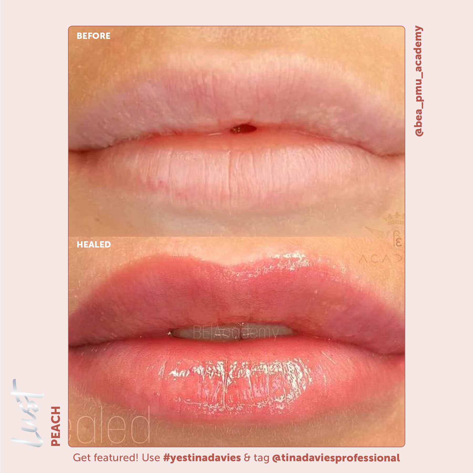 Lust Lip Pigment Collection