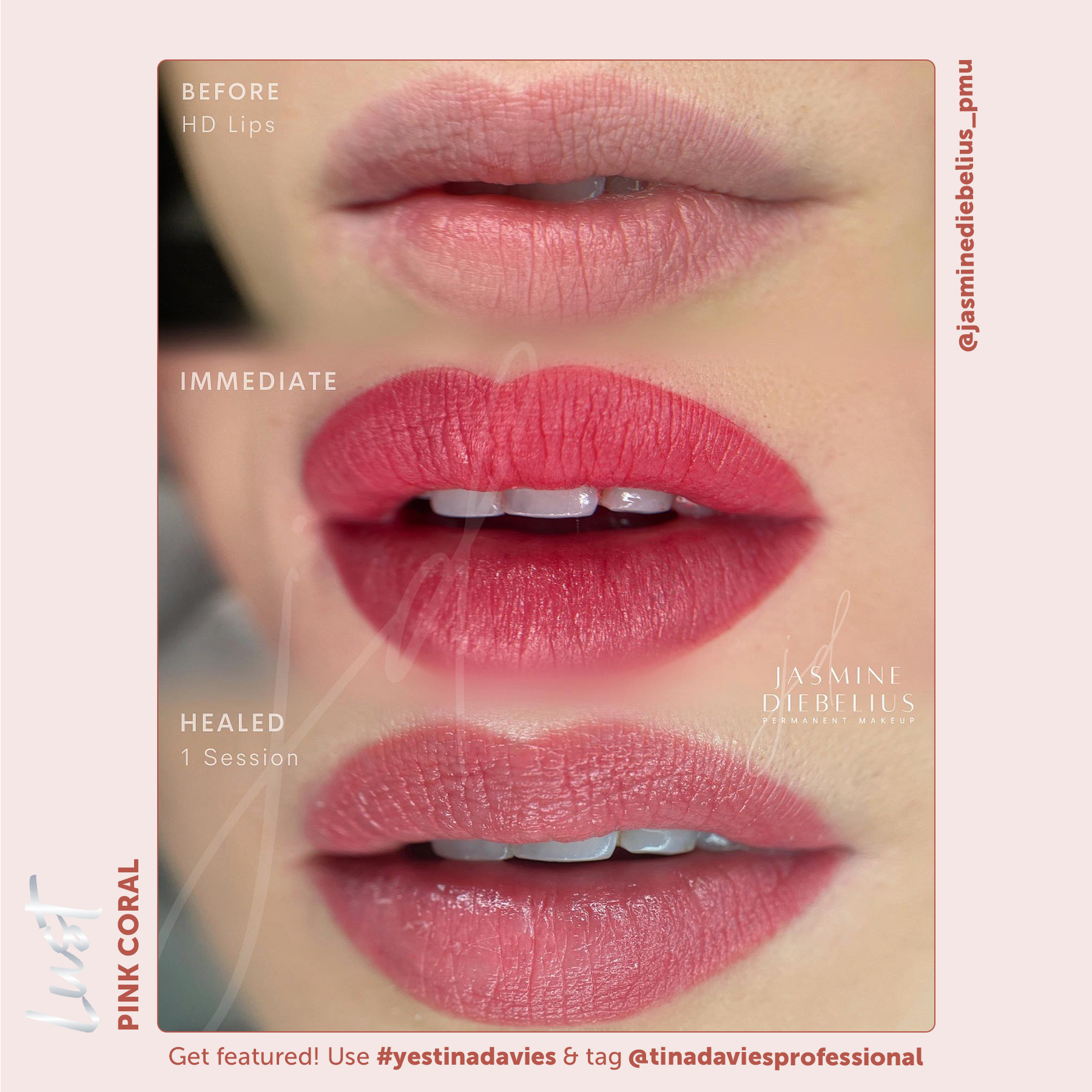 Lust Lip Pigment Collection