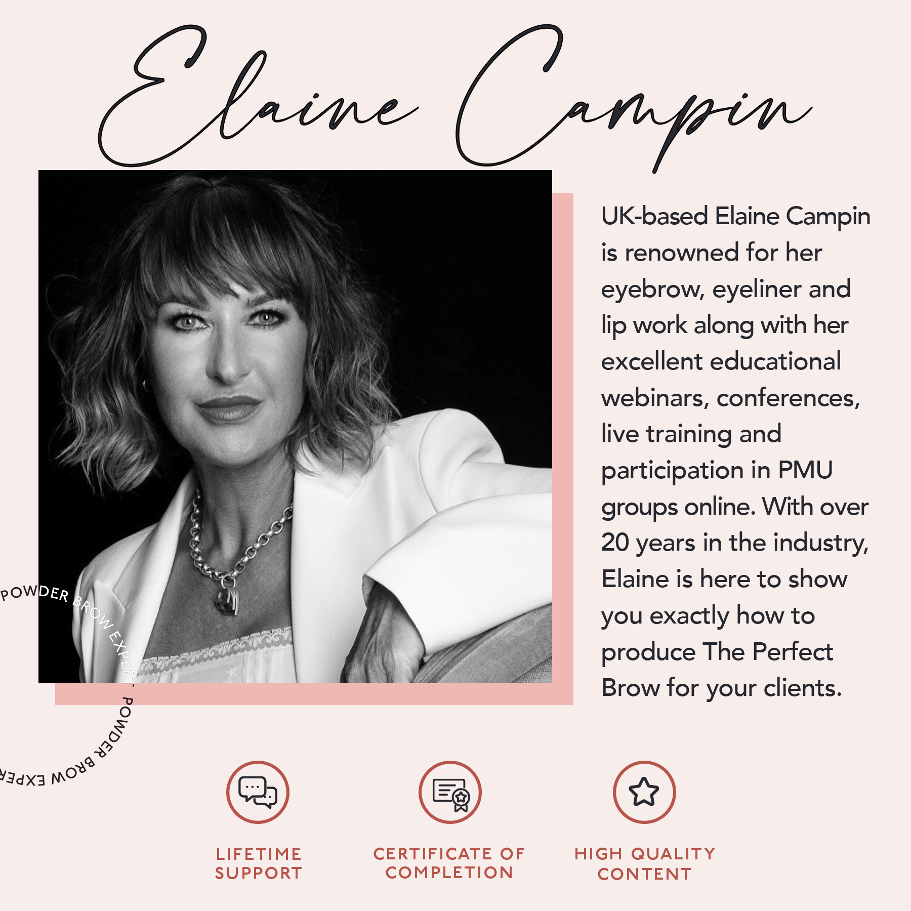 The Perfect Brow by Elaine Campin