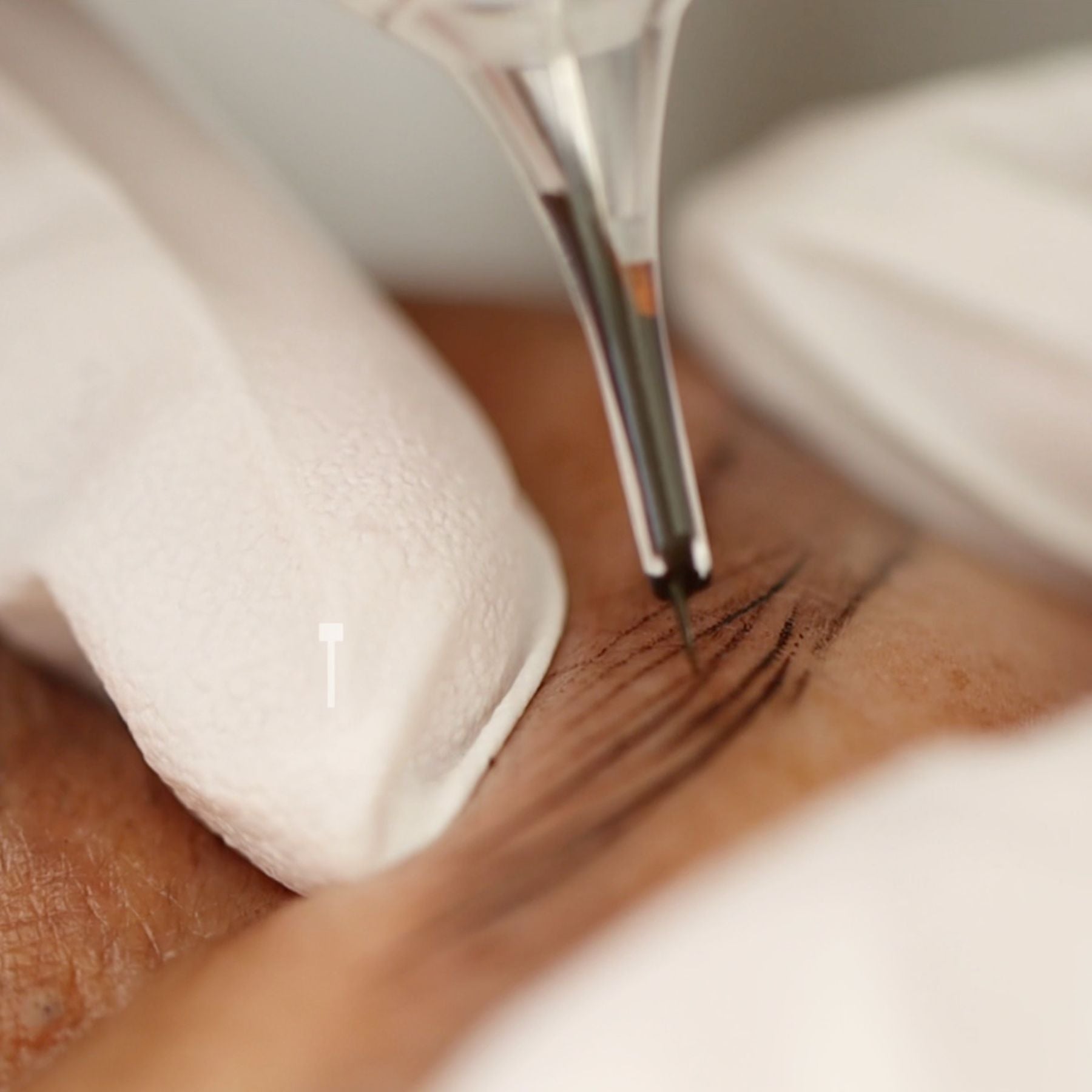 Our Living Canvas: The Science of Skin by Lara Malini