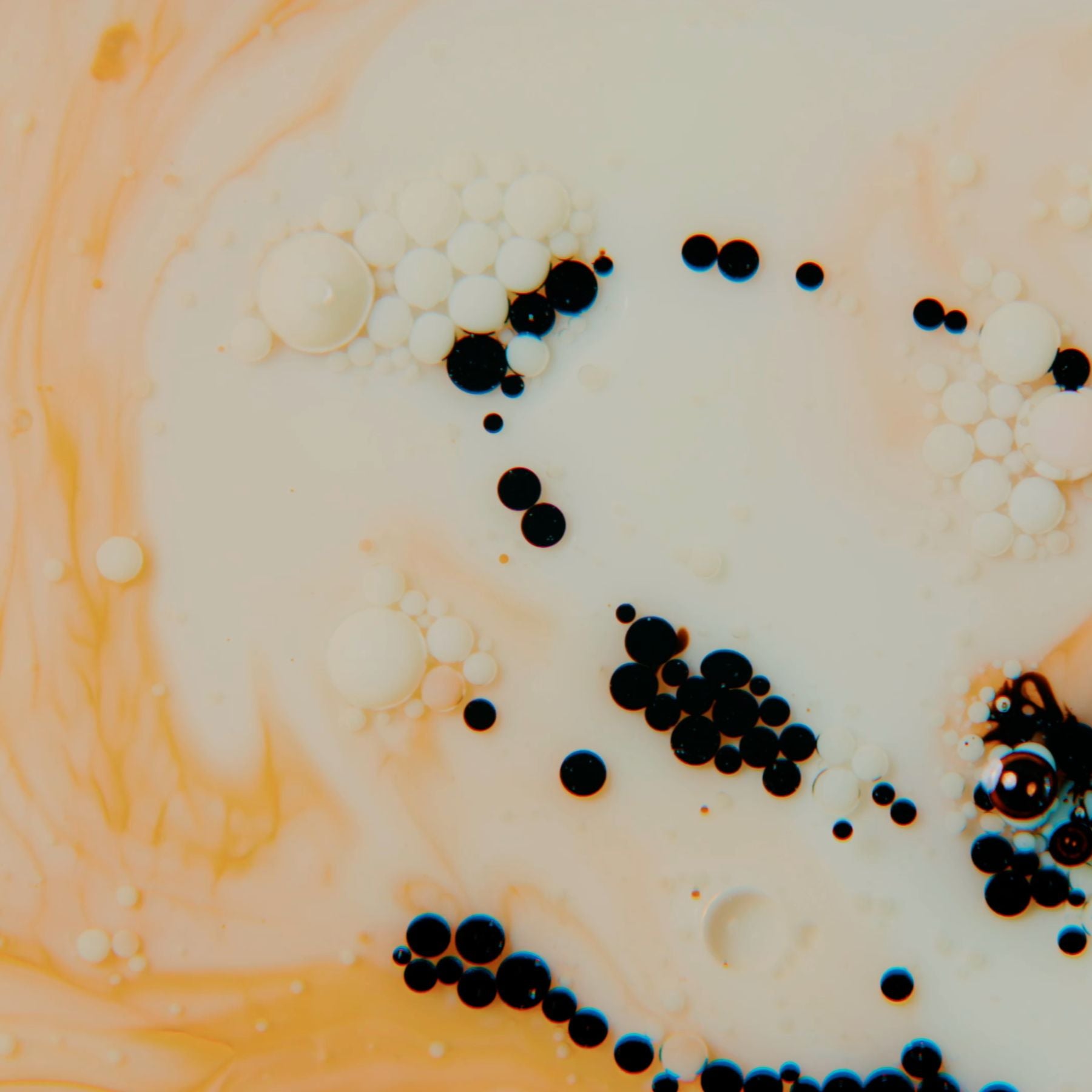 Our Living Canvas: The Science of Skin