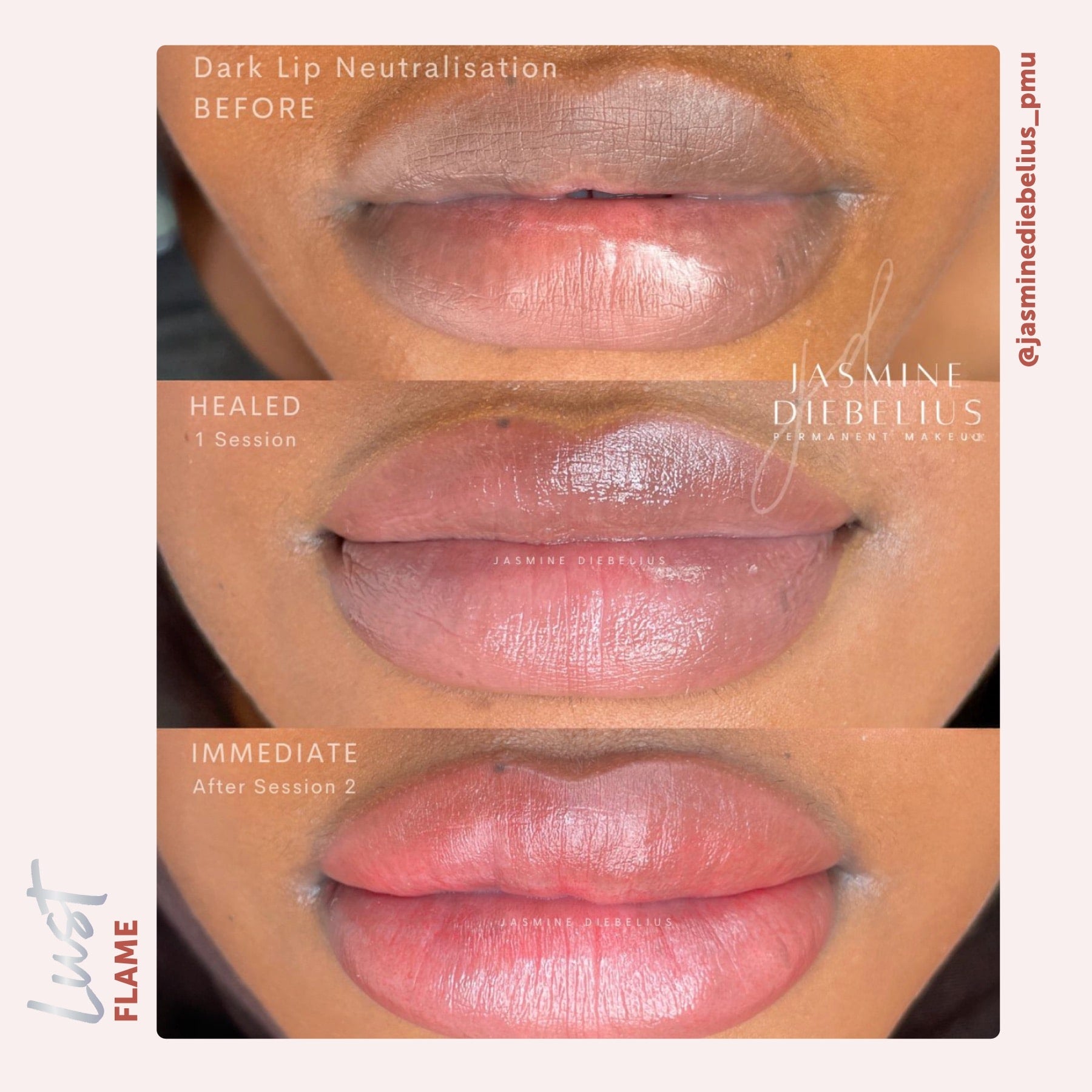 Lust Lip Pigment Collection