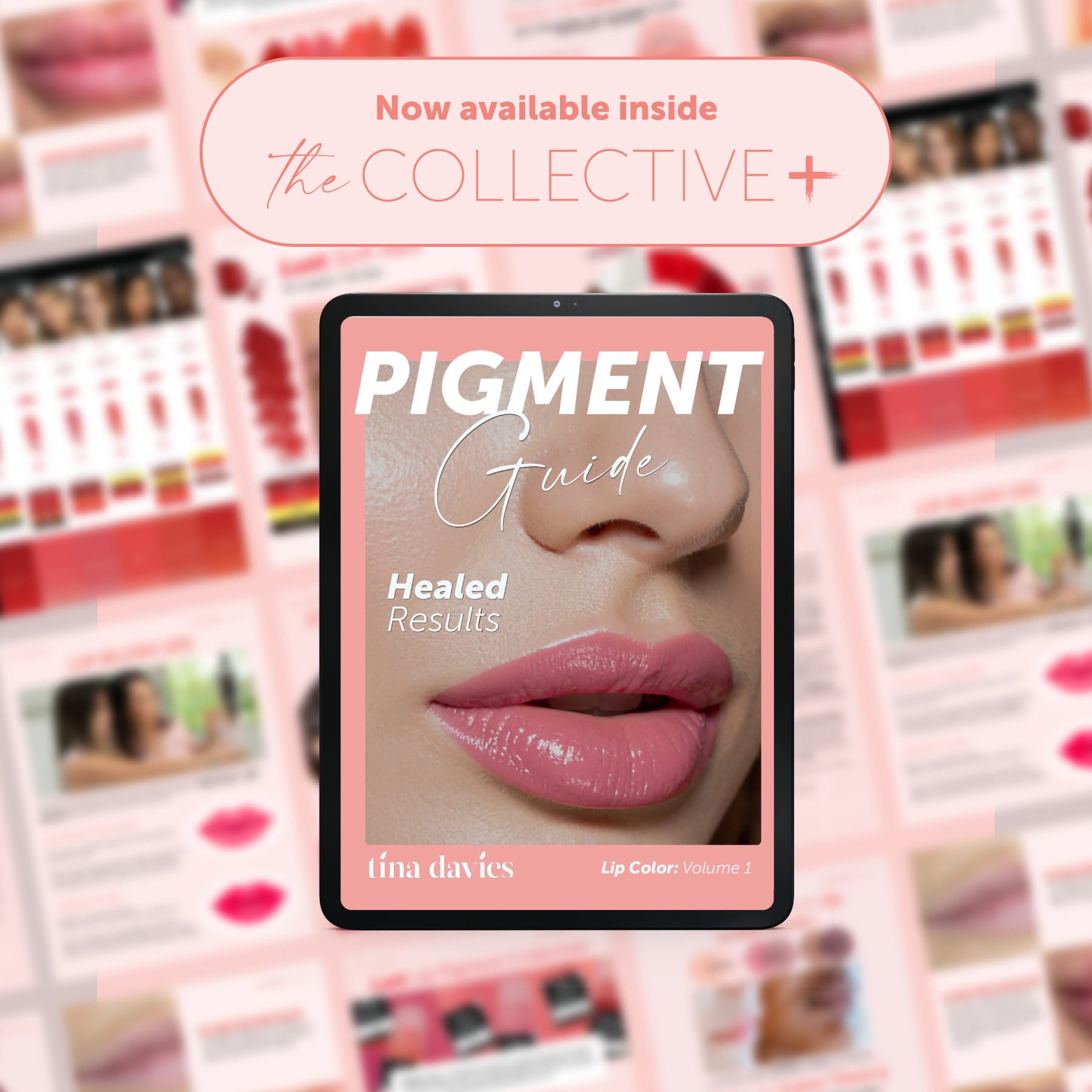 Tina Davies Pigment Guide: Healed Results Lip Color: Volume 1