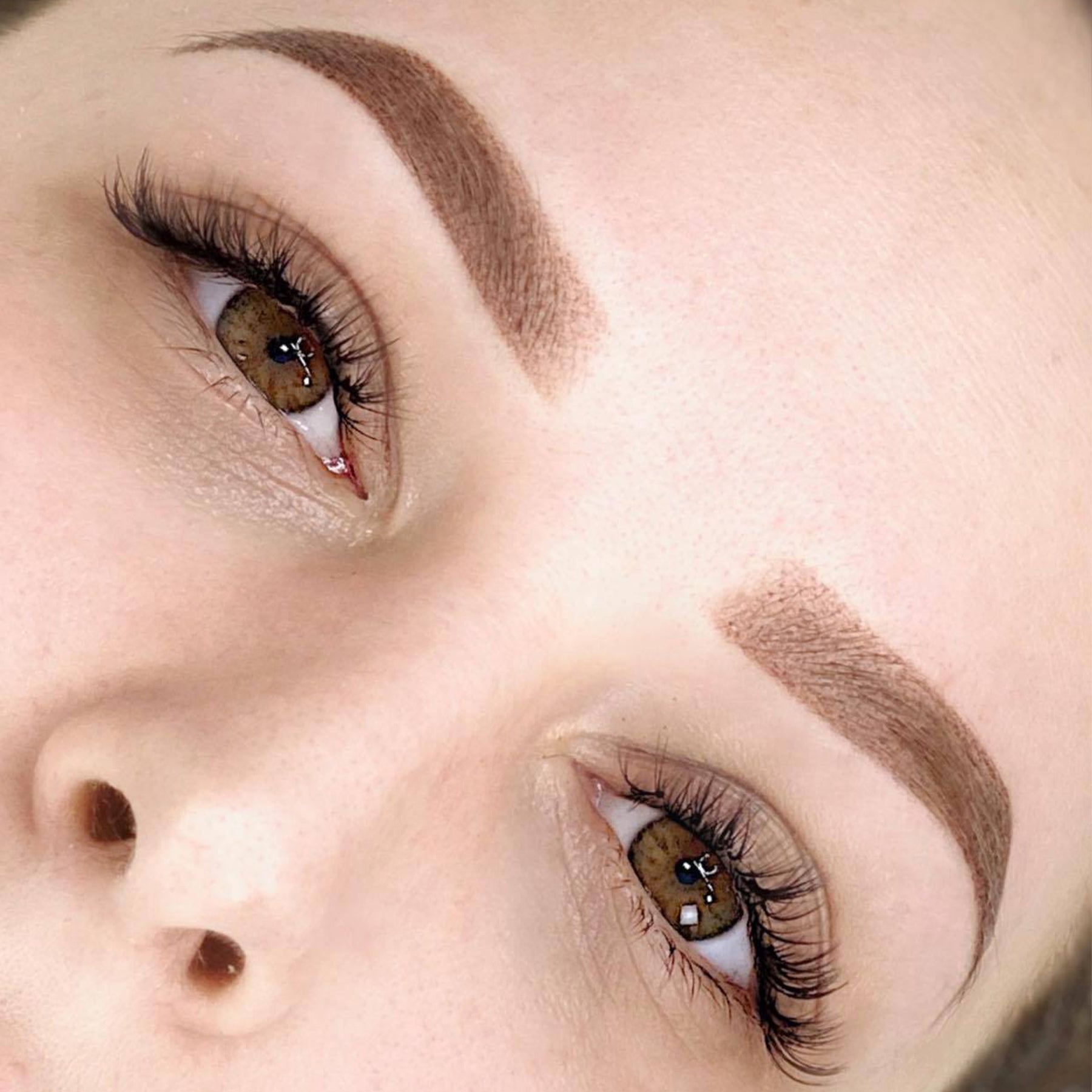 The Perfect Brow by Elaine Campin
