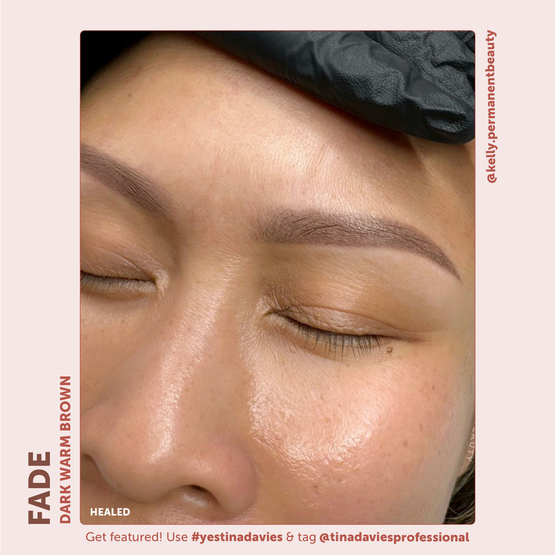 FADE Eyebrow Pigments