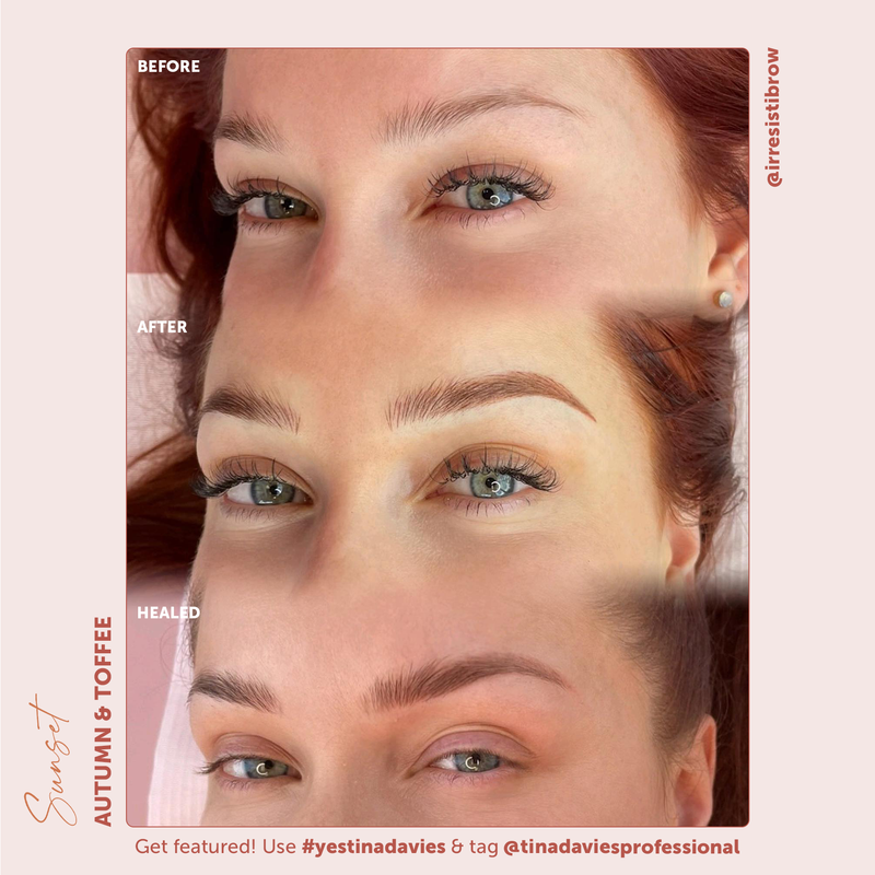 Sunset Brow Pigments