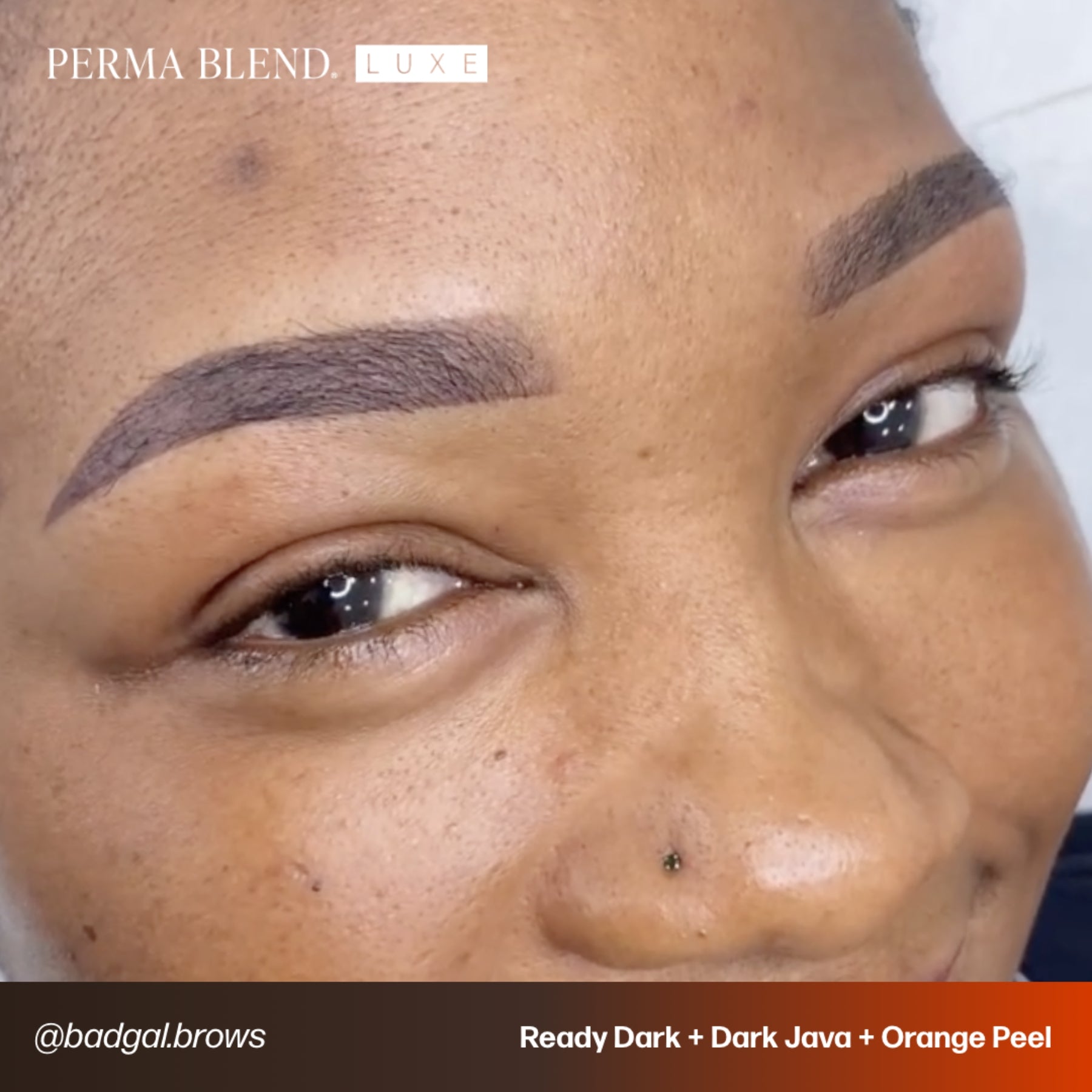 Perma Blend Luxe Ready-Set-Go Pre-Modified Brow Pigments