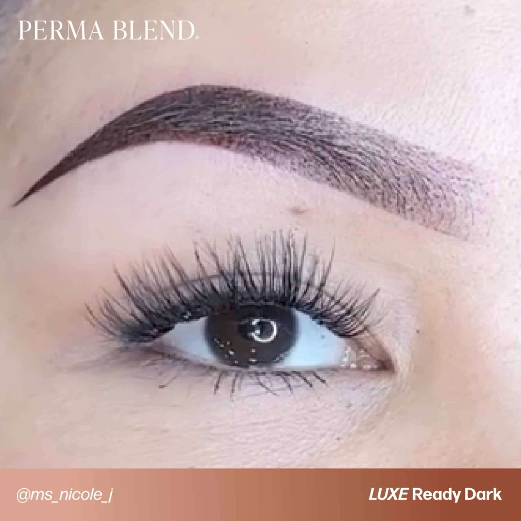 Perma Blend Luxe Ready-Set-Go Pre-Modified Brow Pigments