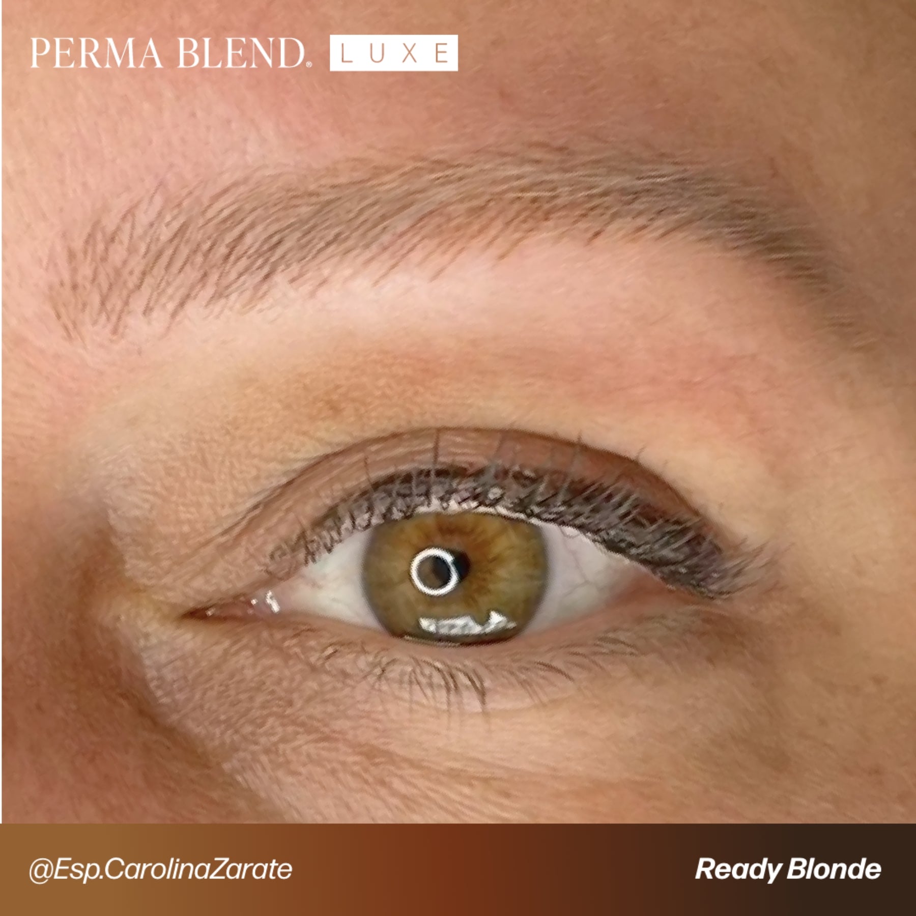 Perma Blend Luxe Ready-Set-Go Pre-Modified Brow Pigments