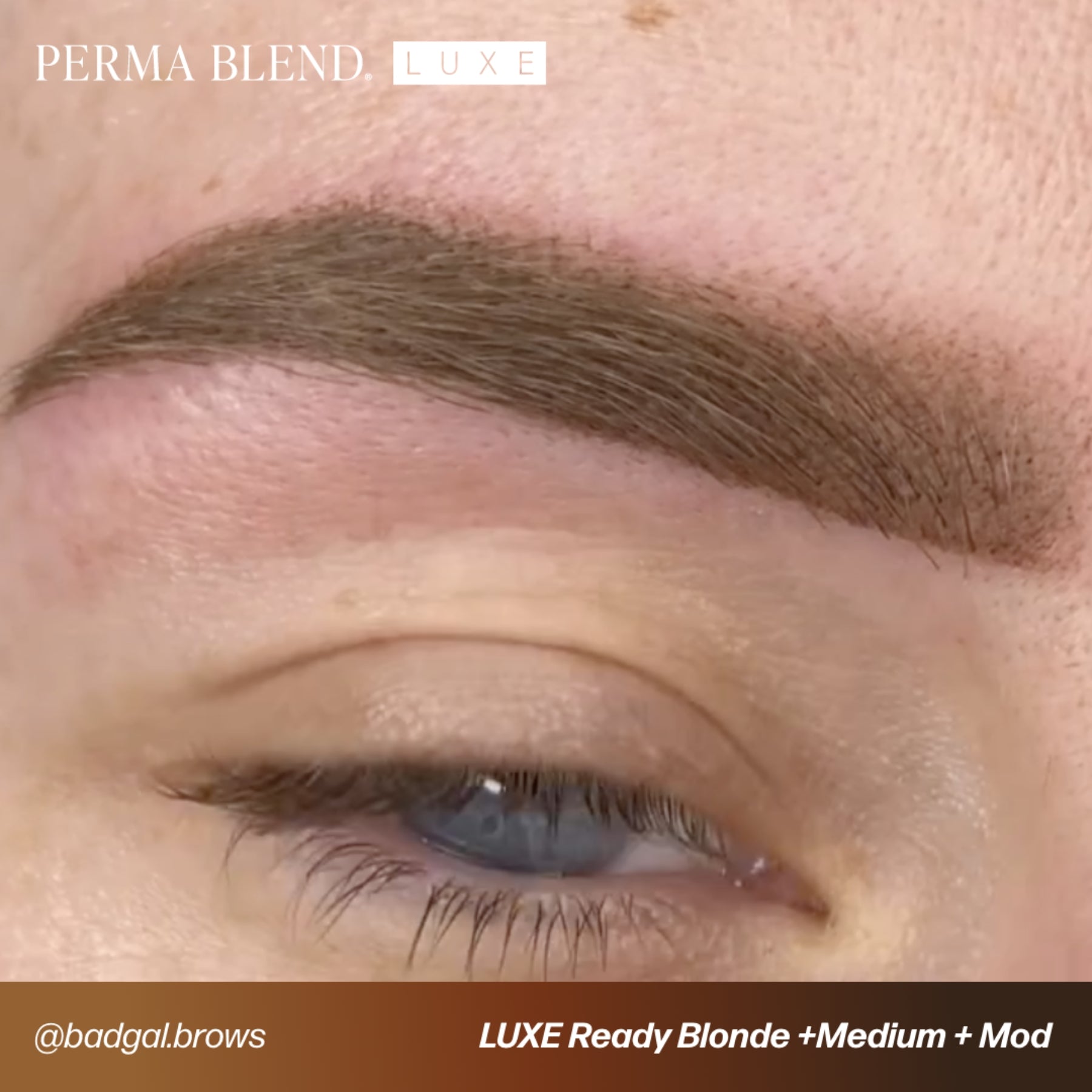 Perma Blend Luxe Ready-Set-Go Pre-Modified Brow Pigments