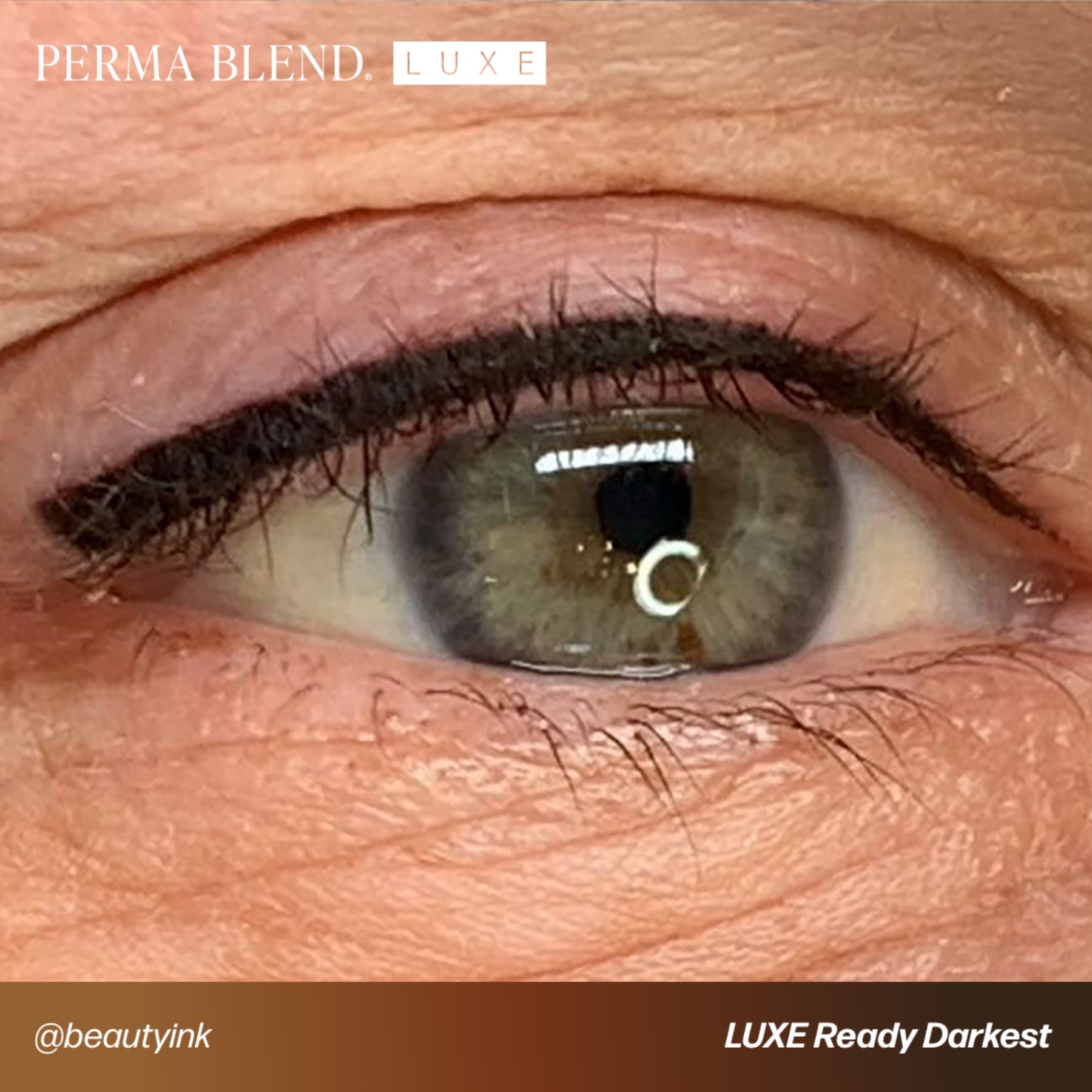 Perma Blend Luxe Ready-Set-Go Pre-Modified Brow Pigments