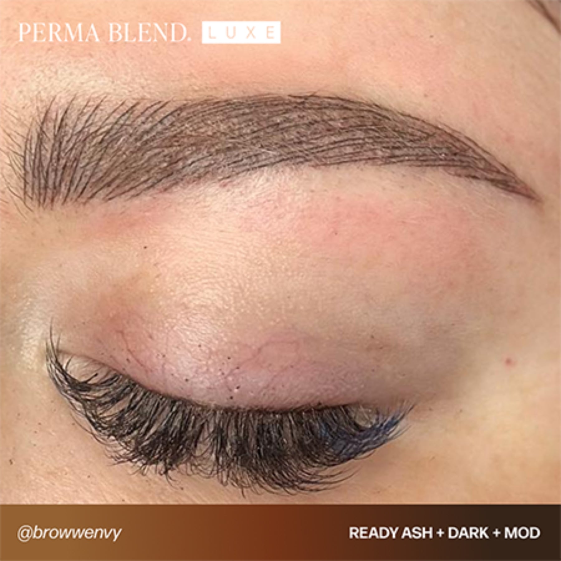 Perma Blend Luxe Ready-Set-Go Pre-Modified Brow Pigments