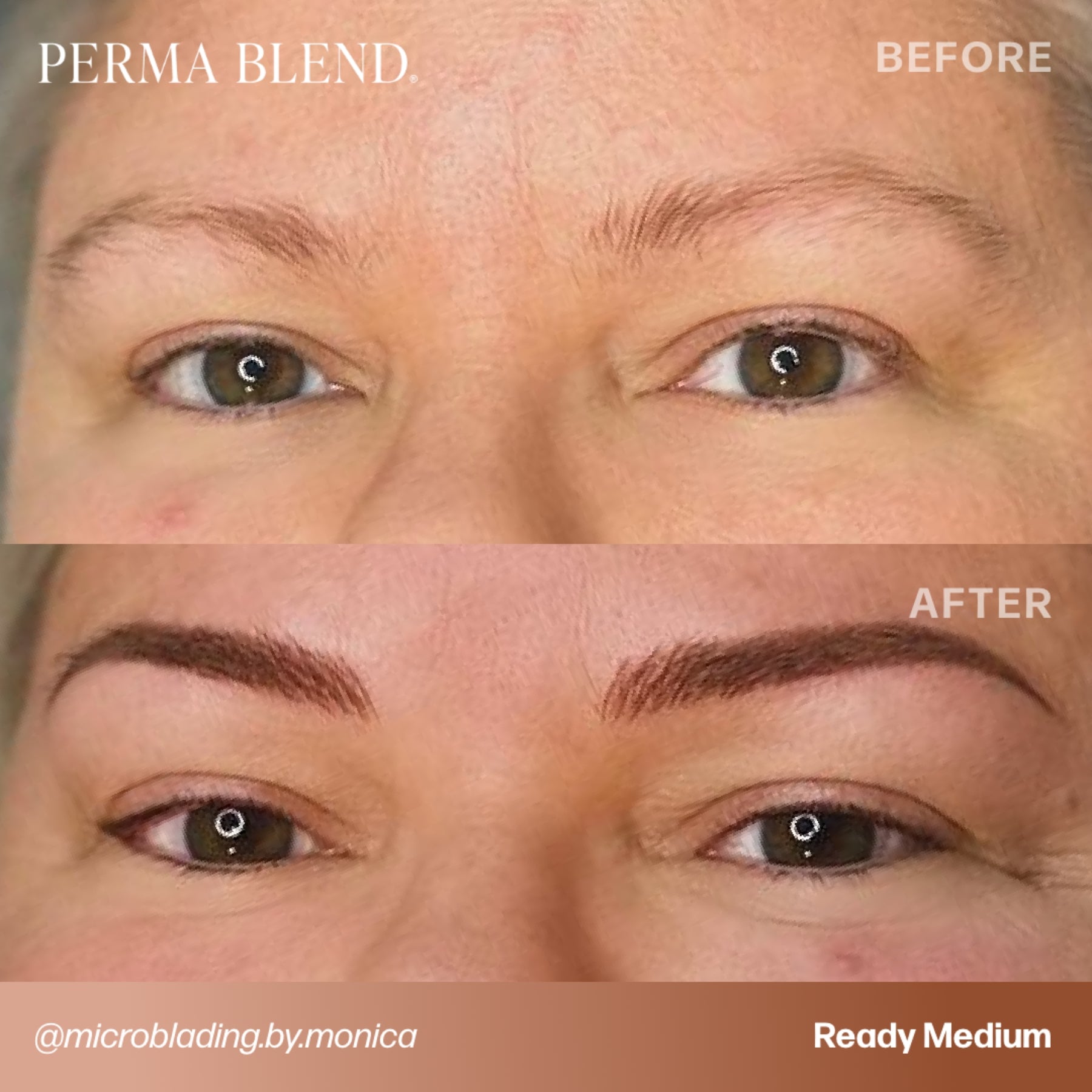Perma Blend Luxe Ready-Set-Go Pre-Modified Brow Pigments
