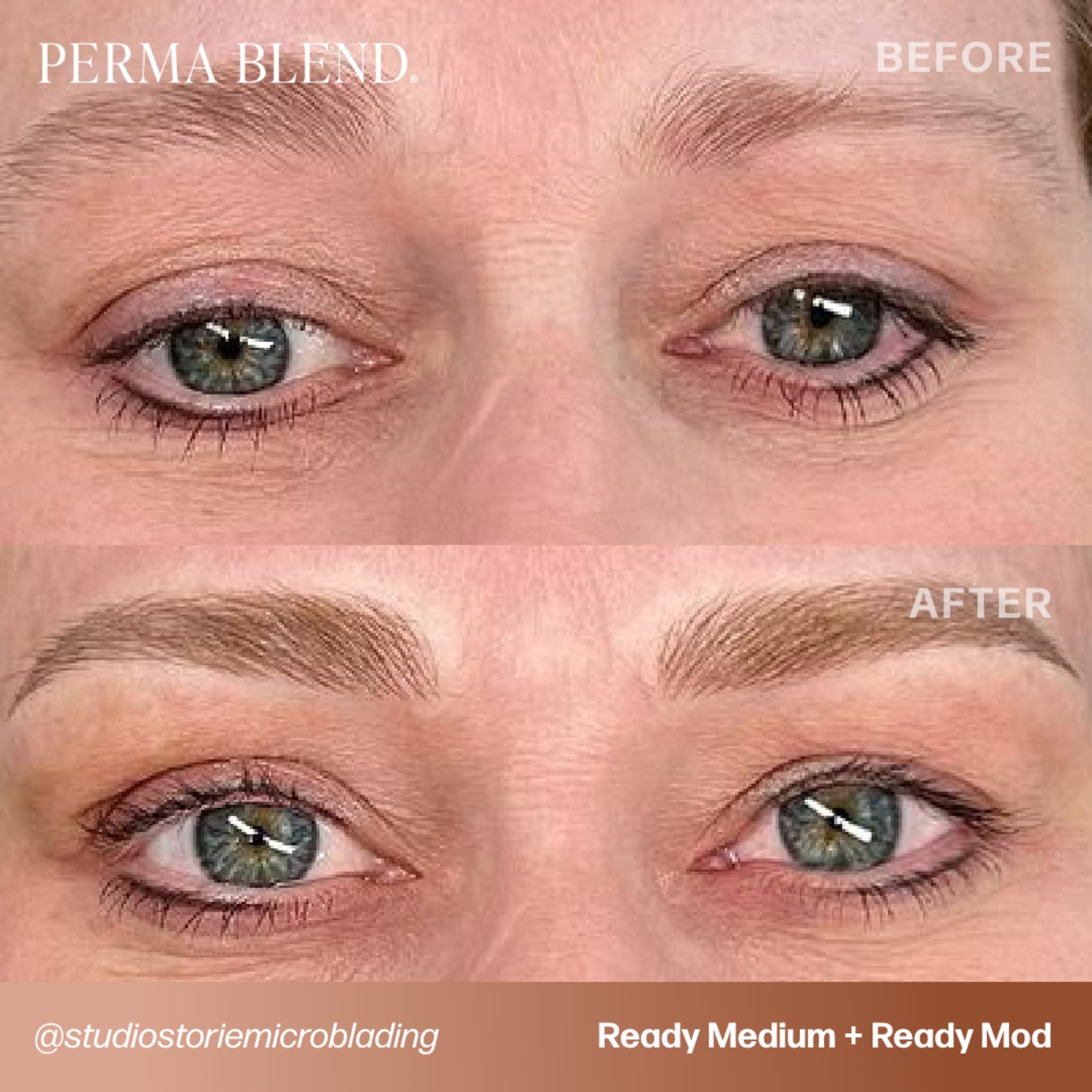 Perma Blend Luxe Ready-Set-Go Pre-Modified Brow Pigments
