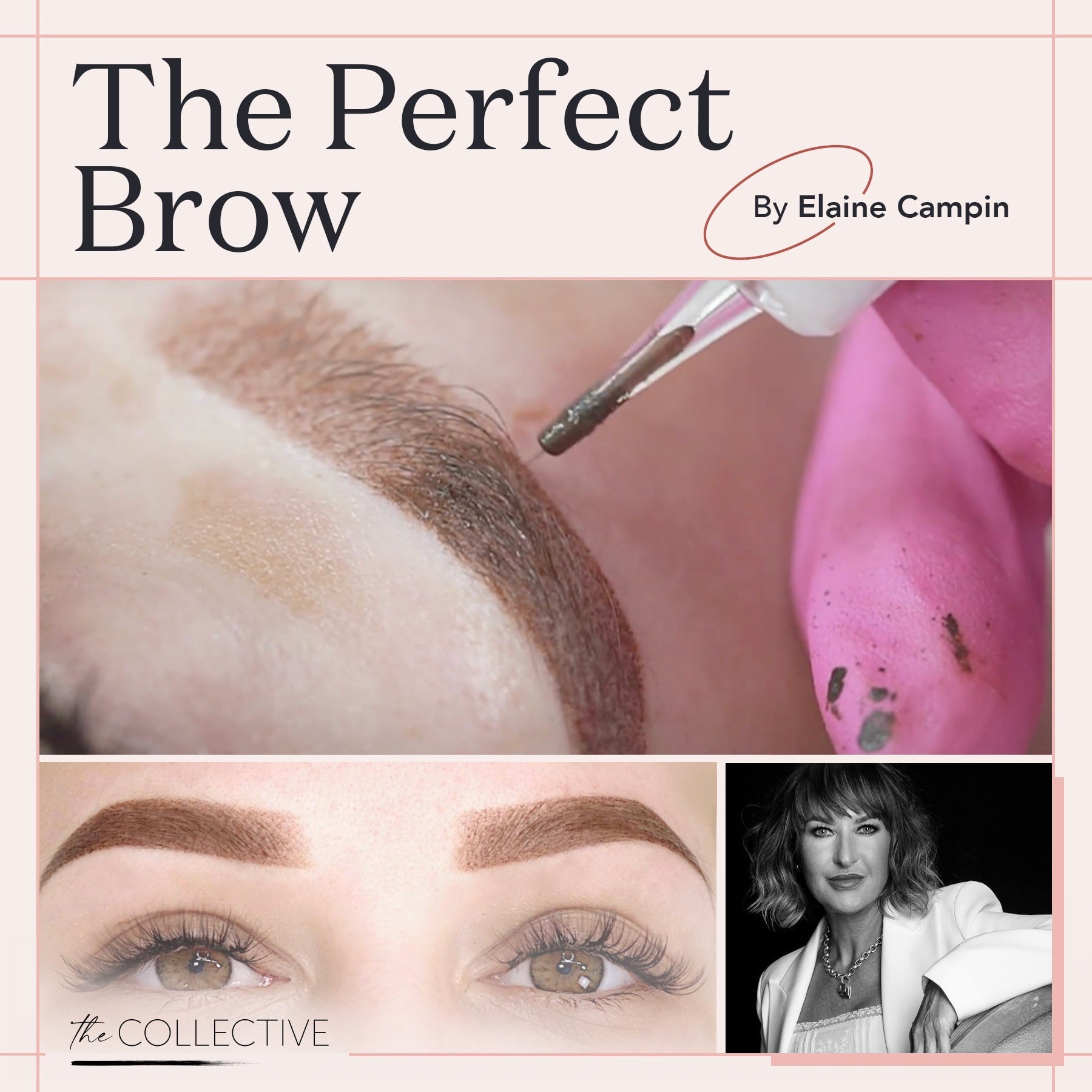 The Perfect Brow by Elaine Campin