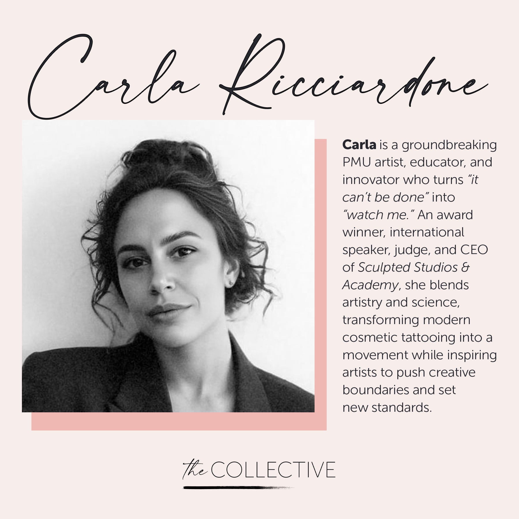 Ink to Income: The Business Setup Guide by Carla Ricciardone