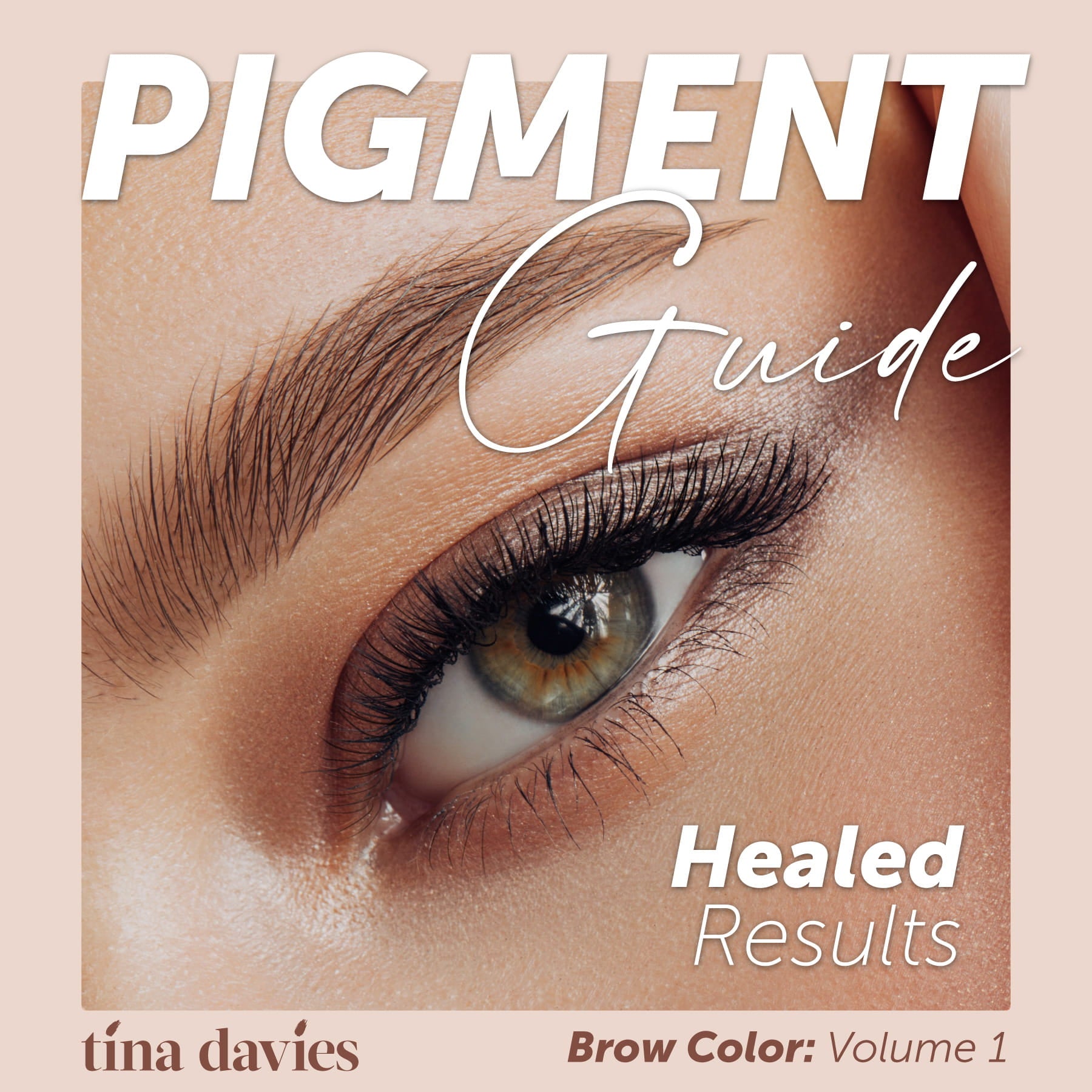 Tina Davies Pigment Guide: Healed Results Brow Color: Volume 1