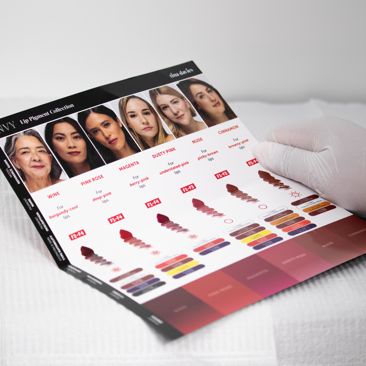 Envy Chart Envy Lip Pigment Collection Color Chart
