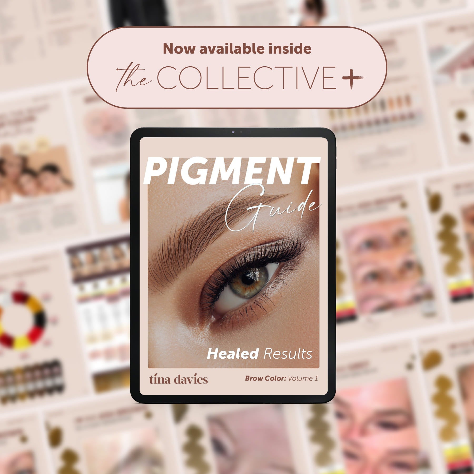Tina Davies Pigment Guide: Healed Results Brow Color: Volume 1
